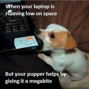 Meet your Posher, Marc